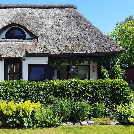 Villa Reetdachhaus Schorsch à Börgerende-Rethwisch Extérieur photo